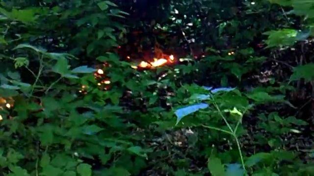 Ужас... блуждающие огни в лесу. ПОКЕМОН или Пикачу виноваты смотреть онлайн