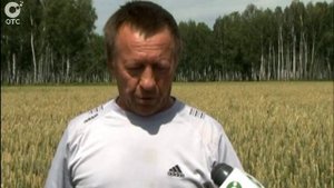 Ставка на фермеров. В Каргатском районе успешно развивают малые крестьянско-фермерские хозяйства
