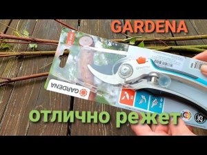Гардена BL Классный секатор Чем обработать сад весной от болезней и вредителей