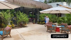 Мексика! Люкс отель для взрослых Secrets Akumal Riviera Maya 5*, ноябрь 2021