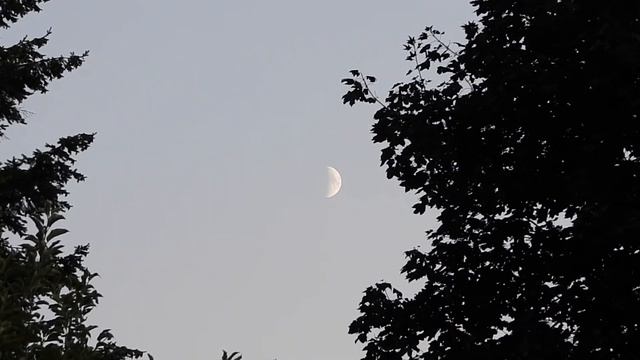 The sun & the moon | Nikon Coolpix P1000. смотреть онлайн