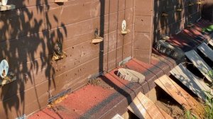 Первая качка меда 18 августа 2024 года. Самарская область