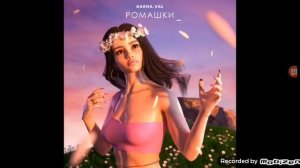 ромашки и сотни роз