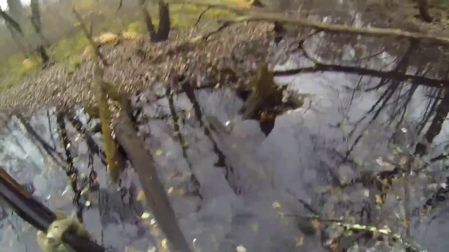 Охота на 'древесную'! утку смотреть онлайн