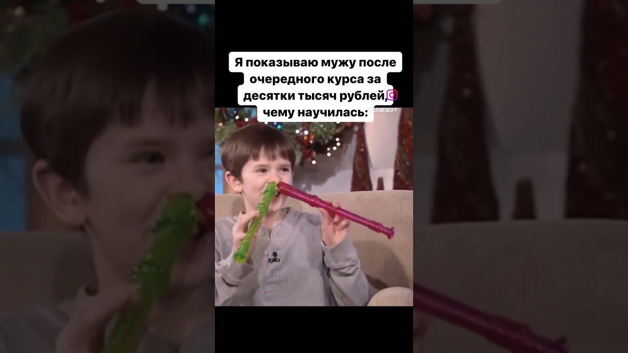 юмор котики лунтик