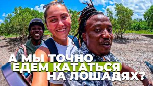 Лучший пляж Кении. Спели в живую. Он бросили нас в АФРИКЕ и уехал. А галоп на лошади будет?!