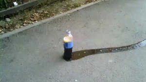 Газировка и ментос