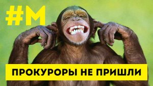 #МОНТЯН: Горячая фаза конфликта неизбежна ?