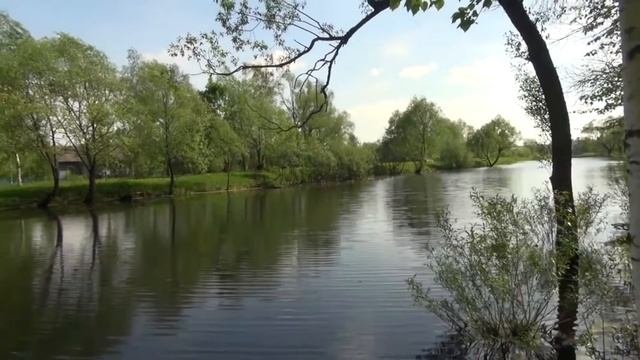Посёлок «Васильково» от компании «Красивая Земля».  Рядом с любимым Чеховым