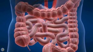 Что будет если ПРОГЛОТИТЬ 2 МАГНИТА