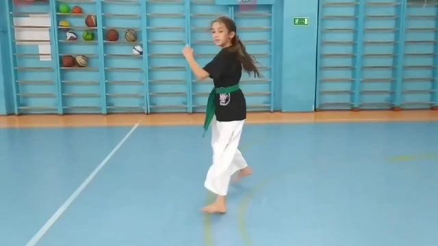 Мой любимый вид спорта- тхэквондо