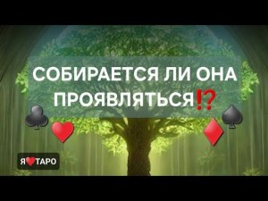 СОБИРАЕТСЯ ЛИ ОНА ПРОЯВЛЯТЬСЯ⁉️ таро расклад для мужчин