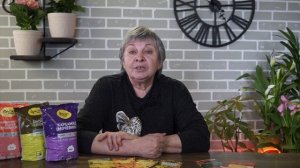 Что сажать рядом с арбузом и дыней ✔️ Соседи арбуза и дыни хитсад тв