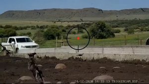 Охота с TRIGGERCAM BSP