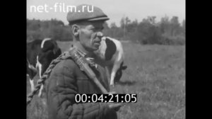 1969г. колхоз Заря Грязовецкий район Вологодская обл