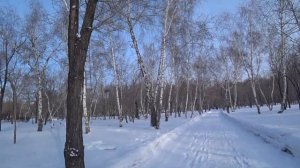 Караганда | Центральный парк | аллея берёз, два льва, скульптура Шахтёр и видно телевышку