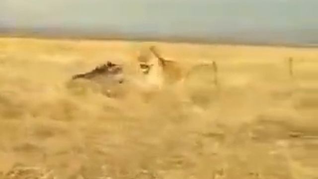 Упавший духом гибнет раньше срока. смотреть онлайн