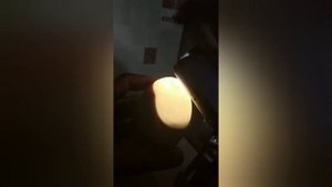 Наклёв гусиных яиц 27-28 день инкубирования ?