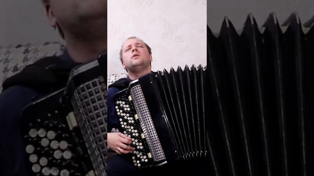 Потрясающе красивая музыка #баян #топбаянист #баянист #accordion #музыканабаяне #accordionmusic