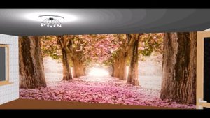 Как выбрать фотообои для стен?