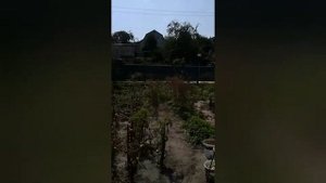 Богуслав, Киевская область