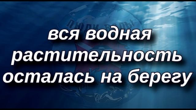 Волга. Куйбышевское водохранилище 2019 смотреть онлайн