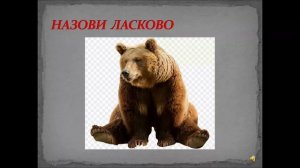 Развитие речи. Дикие животные.  4 - 5 лет