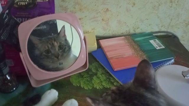 Тая: Заглянуть в зеркало, без проблем