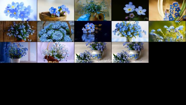 ✞ Meditácie Ľubomíra Stančeka | Blahoslavení chudobní Mt 5, 1-12 смотреть онлайн