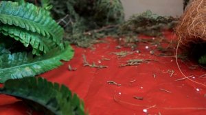 ГУСЕНИЦА ПЕРДУШКА! КТО ПУКНУЛ? Смешной мультик для детей. Игрушки