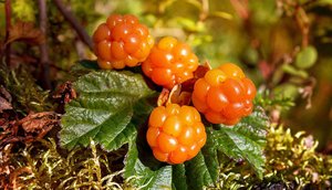 Вспомним тех друзей.