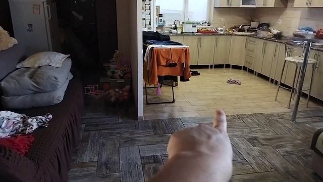 Вы просили Я сделала?озвучка на ЗАКАРПАТСКОМУ ЯЗЫКОВЫ? смотреть онлайн