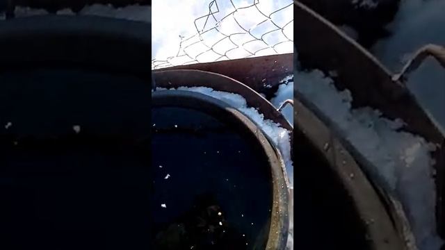 Подогрев воды зимой для Крс своими руками