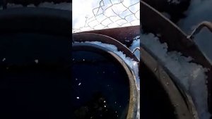 Подогрев воды зимой для Крс своими руками