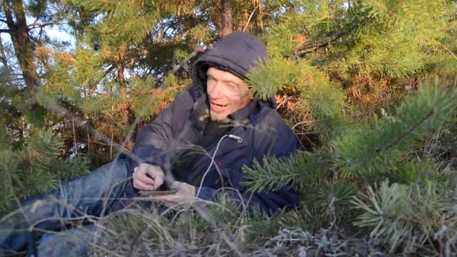 Пластиковые грибы-сказка, царство пластика и пластмасс + скульптура  пластику