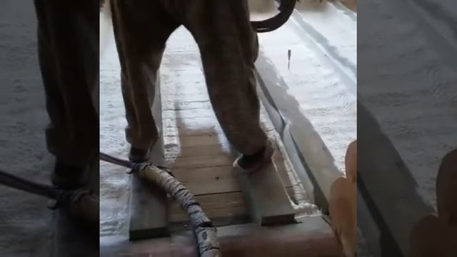 Утепление пола пенополиуританом (ППУ) смотреть онлайн