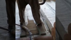 Утепление пола пенополиуританом (ППУ)