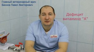 Мочекаменная болезнь кошек и собак.mp4