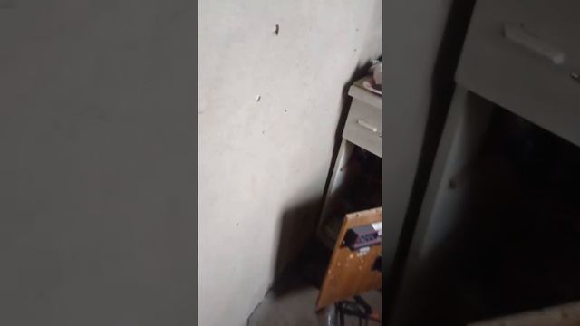 Инвертор автомобильный 12 220 1000 Вт, сеть 220В смотреть онлайн