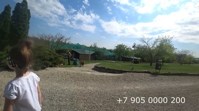 Где провести приятно время всей семьёй смотреть онлайн