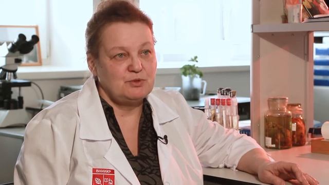 Стеблевые нематоды картофеля и лука смотреть онлайн