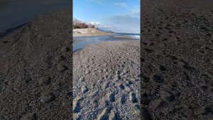 Так река впадает в море.