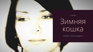 ЗИМНЯЯ КОШКА. Стихи