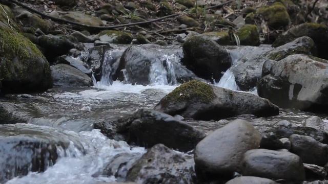 ТЕОСОФИЯ ДЛЯ НАЧИНАЮЩИХ. ТАЙНАЯ ДОКТРИНА. БЛАВАТСКАЯ. смотреть онлайн