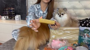 Большая распаковка зоотоваров Triol 🐾 классные новинки 🐶