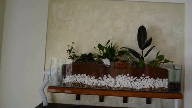 Фитофильтр 1 смотреть онлайн