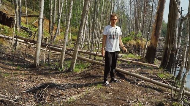 Заброшенный хутор спустя год после осушения болота. смотреть онлайн