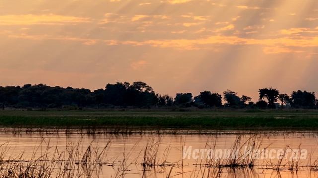 Получив в наследство дом бабушки, внуки нашли там потайную комнату… смотреть онлайн