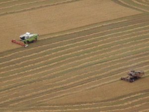 Combine Harvesters SK-5 NIVA and CLAAS MEGA 360 /// Комбайны СК-5 НИВА и CLAAS MEGA 360