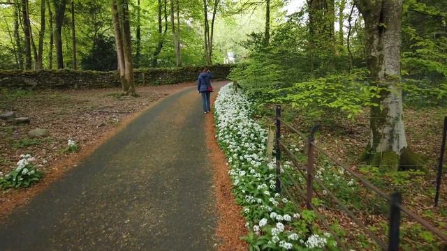 #4 Англия. Озерный край. Прогулка по окрестностям Windermere. смотреть онлайн